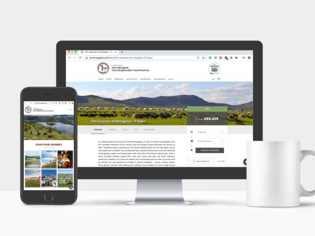 Web Design Website Design
